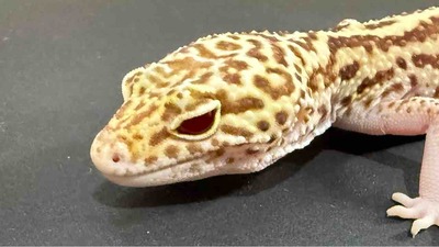 FullSizeRender