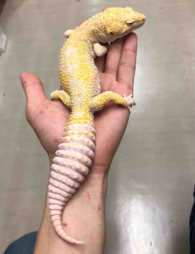 FullSizeRender