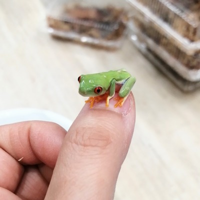 IMG_20201224_133001