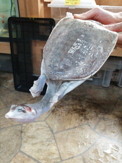 IMG_20200322_202505_BURST001_COVER