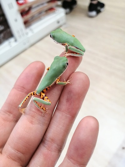 IMG_20201023_150127_1