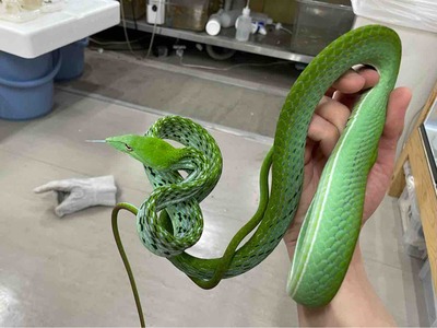 FullSizeRender