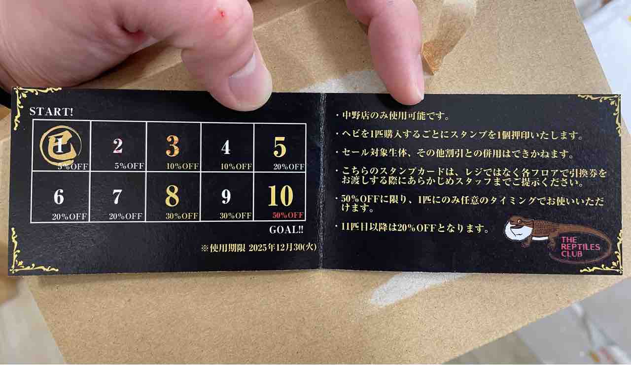 蛇の水彩画　値引き！！ 額付き水彩画「軍鶏」原画 | iichi 日々の暮らしを心地よくする