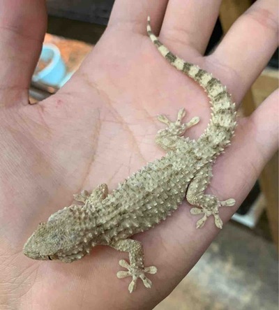 FullSizeRender