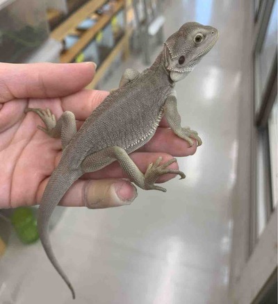 FullSizeRender