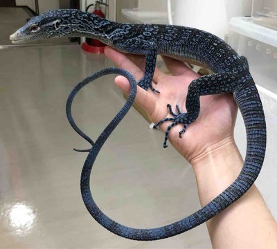 FullSizeRender