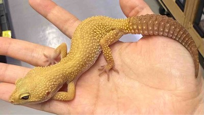 FullSizeRender
