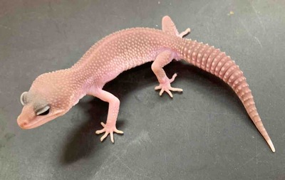 FullSizeRender
