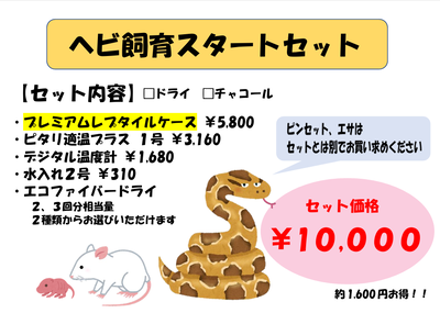 �����꡼�󥷥�å� 2026-03-10 165813