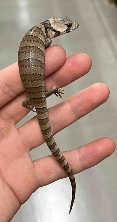 FullSizeRender