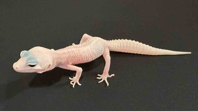 FullSizeRender