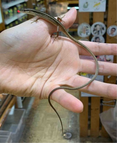 FullSizeRender