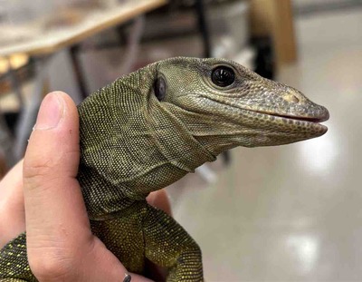 FullSizeRender