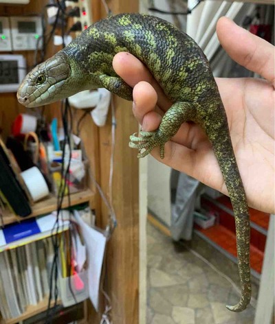 FullSizeRender