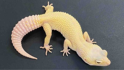 FullSizeRender