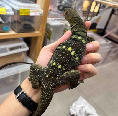 FullSizeRender