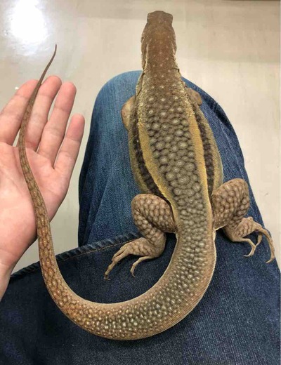 FullSizeRender