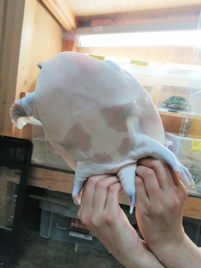 IMG_20200322_202539_1