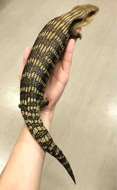 FullSizeRender