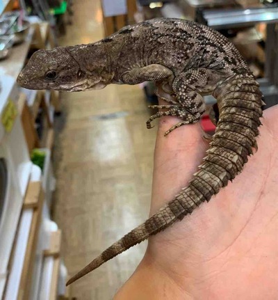FullSizeRender