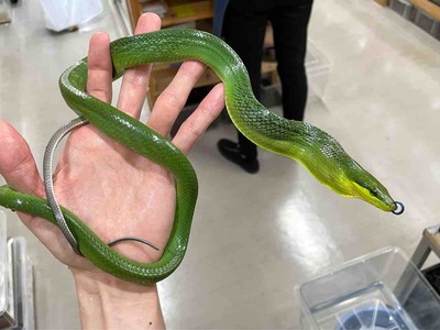 FullSizeRender