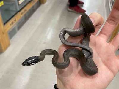FullSizeRender