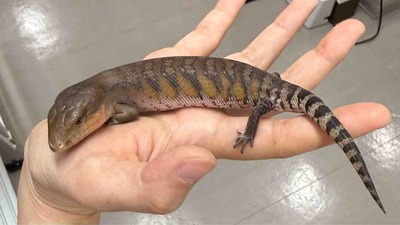 FullSizeRender