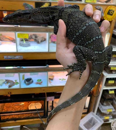 FullSizeRender
