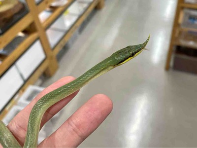 FullSizeRender