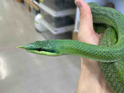 FullSizeRender