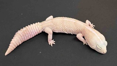 FullSizeRender