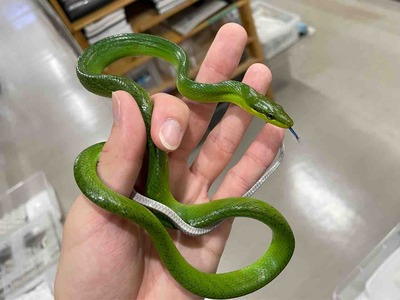 FullSizeRender