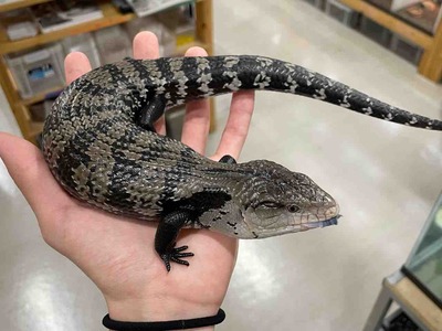 FullSizeRender