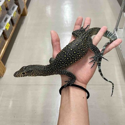 FullSizeRender