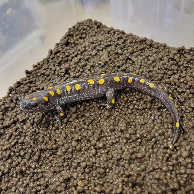 20260207_165252