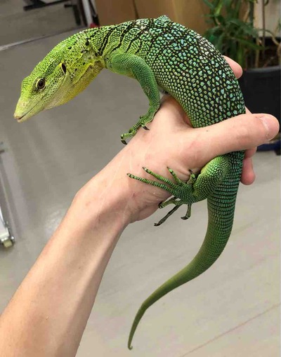 FullSizeRender