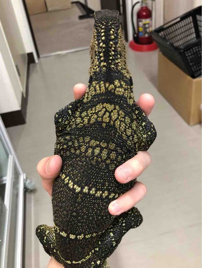 FullSizeRender