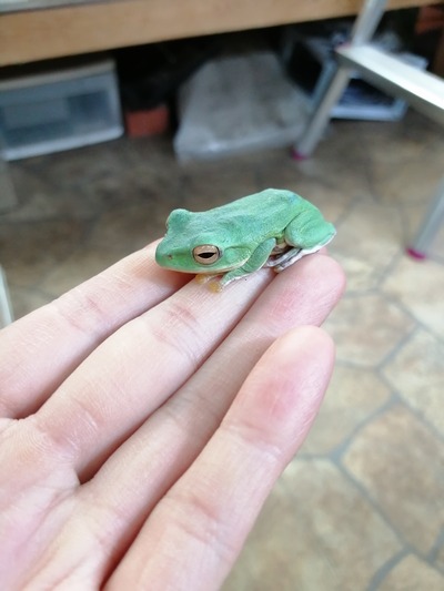 IMG_20200226_214302_1