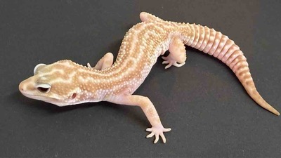 FullSizeRender