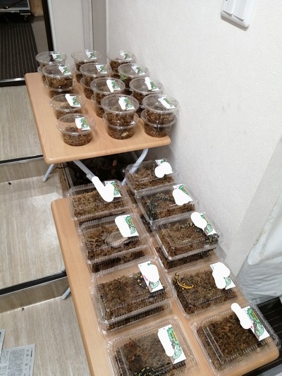 IMG_20201022_172641~2