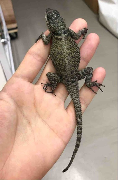 FullSizeRender
