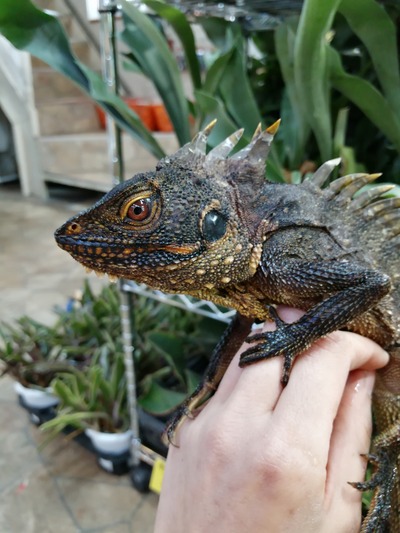 IMG_20200226_140716_1