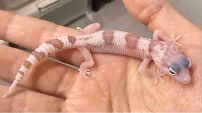 FullSizeRender