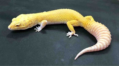 FullSizeRender