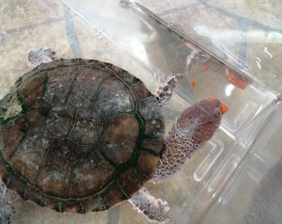 IMG_20200123_194553_006