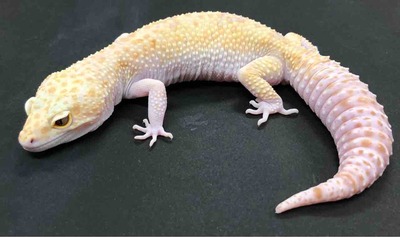 FullSizeRender