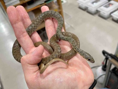 FullSizeRender