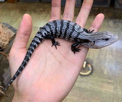 FullSizeRender