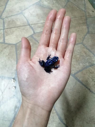 IMG_20200114_214303_1