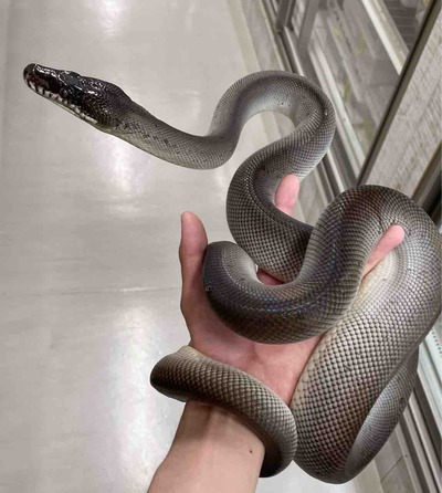 FullSizeRender